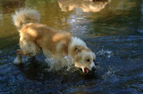 Wasser!