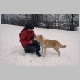 winters11.jpg