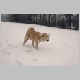 winters14.jpg