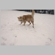 winters15.jpg