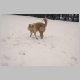 winters16.jpg
