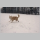winters17.jpg