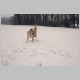winters18.jpg