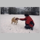 winters7.jpg