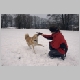 winters8.jpg