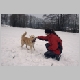 winters9.jpg